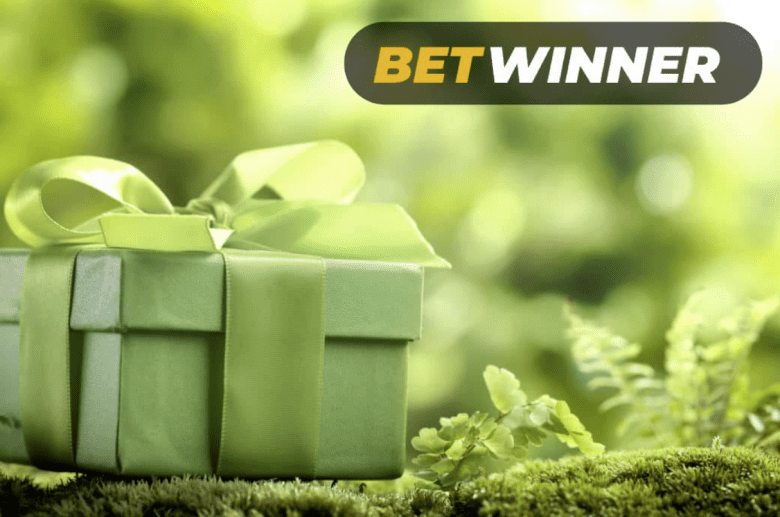 5 Brilliant Ways To Teach Your Audience About betwinner affiliate