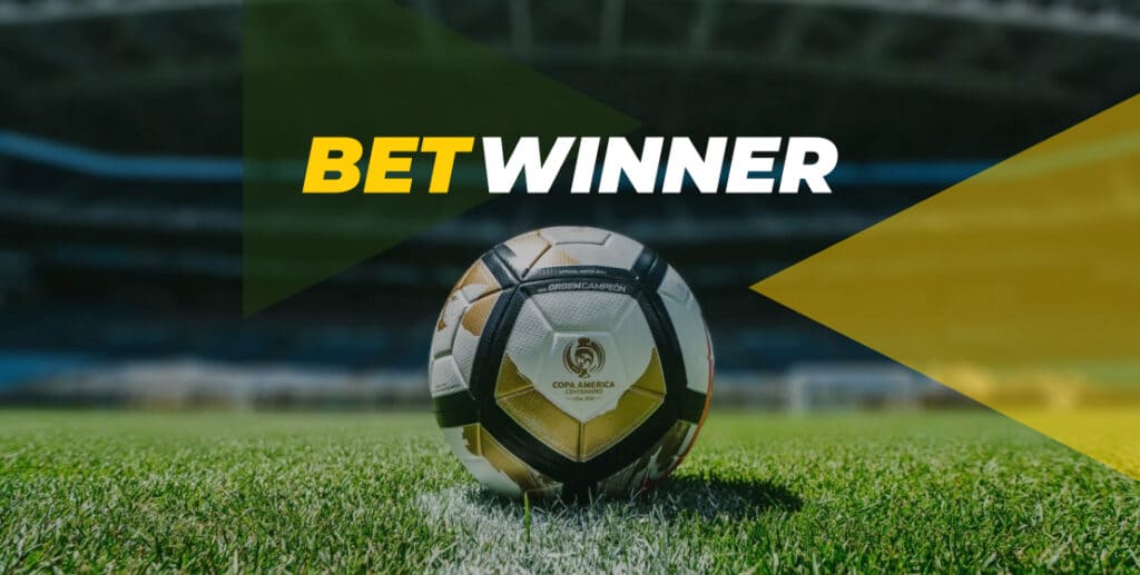 Poll: How Much Do You Earn From Betwinner Colombia?